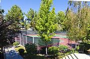 Community Tennis